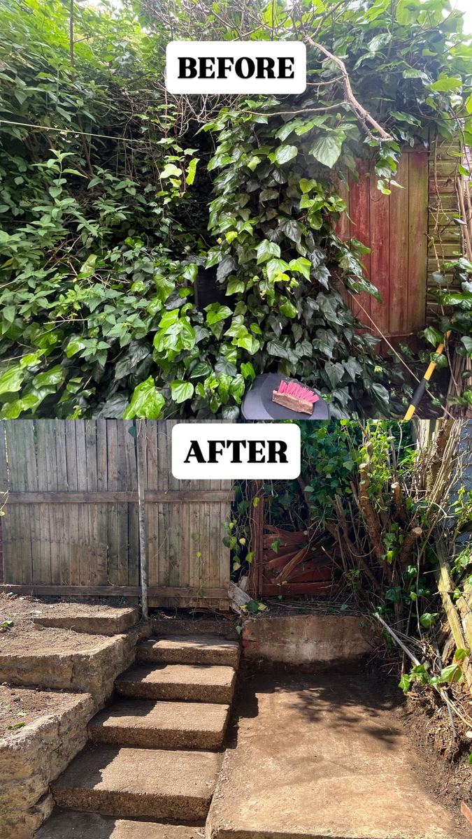 Ivy removal before and after