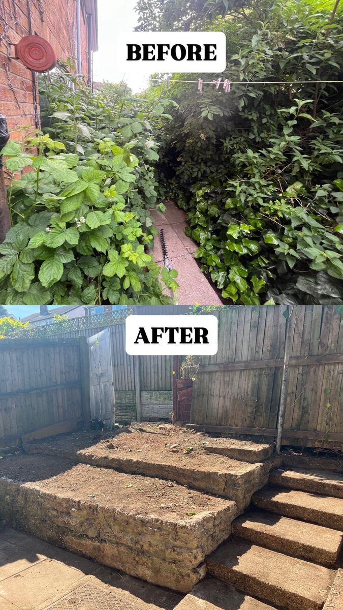 Garden clearance before and after